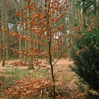 750_8945