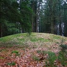 750_8948