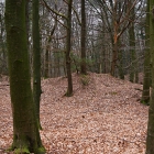 750_9419