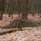 750_9420