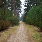 750_9442
