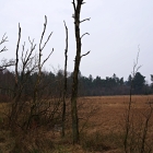 750_9451