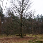 750_9534