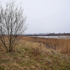 750_9564
