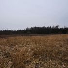 750_9565