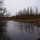 750_9586