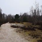 750_9594