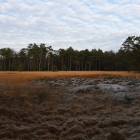 850_0568