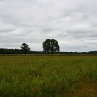 Z07_0549