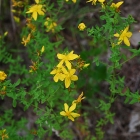 Z07_0558