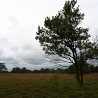 Z07_0970