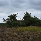 Z07_1029