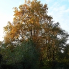 850_3800