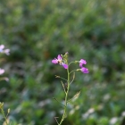 Z07_3053