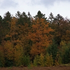 Z07_3758