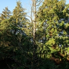 Z07_4005