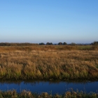 Z07_3858