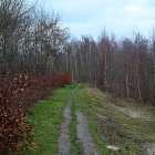 Z72_0082