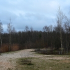 Z72_0083
