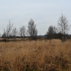 Z72_0281