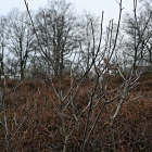 Z72_0301
