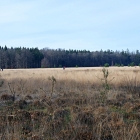 Z07_4321