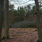 Z72_0354
