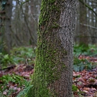 Z72_0359