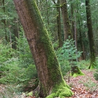 Z07_4558