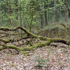 Z72_0401