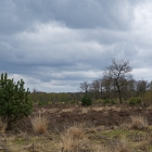 Z72_0421