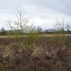 Z72_0450