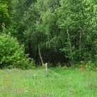 Z07_5032