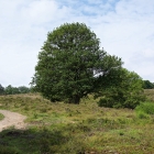 Z72_0690