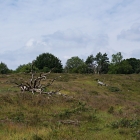 Z72_0694