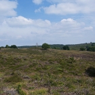 Z72_0695