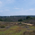 Z72_0697