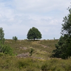 Z72_0701