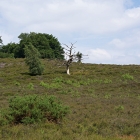 Z72_0703