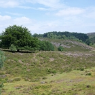 Z72_0707