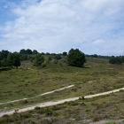 Z72_0711