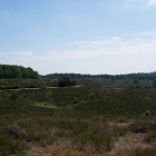 Z72_0742