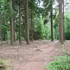 Z72_0950