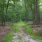 Z72_0952