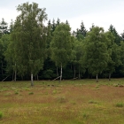 Z72_0961