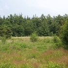 Z72_0980