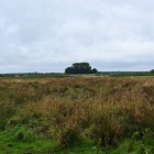 Z72_1793