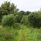 Z72_1794