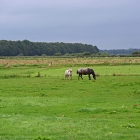 Z72_1800