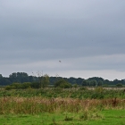 Z72_1807